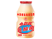 小劲将原味乳酸菌饮品100ml