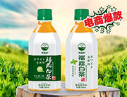 思路和福鼎白茶果味茶饮料330ml